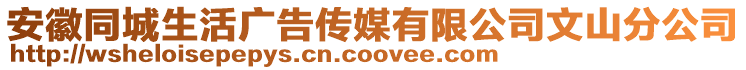 安徽同城生活廣告?zhèn)髅接邢薰疚纳椒止? style=