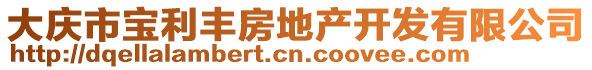 大慶市寶利豐房地產(chǎn)開發(fā)有限公司