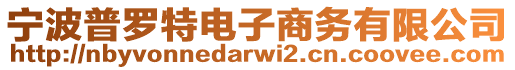 寧波普羅特電子商務(wù)有限公司