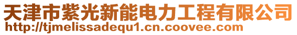 天津市紫光新能電力工程有限公司