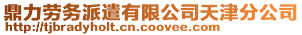 鼎力勞務派遣有限公司天津分公司