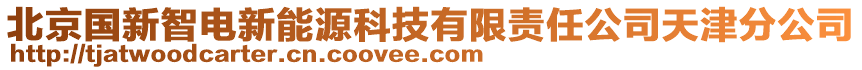 北京國新智電新能源科技有限責任公司天津分公司