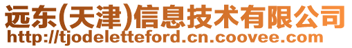 遠(yuǎn)東(天津)信息技術(shù)有限公司