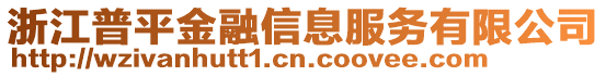 浙江普平金融信息服務(wù)有限公司