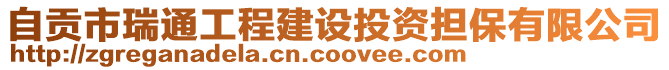 自貢市瑞通工程建設(shè)投資擔(dān)保有限公司