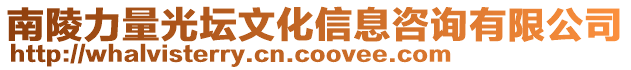 南陵力量光壇文化信息咨詢有限公司