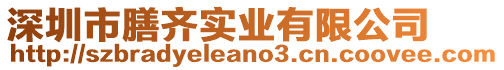 深圳市膳齊實業有限公司