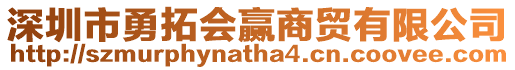 深圳市勇拓會贏商貿有限公司