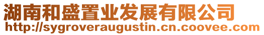 湖南和盛置業發展有限公司