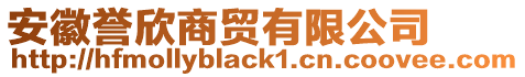安徽譽欣商貿有限公司