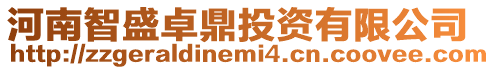 河南智盛卓鼎投資有限公司