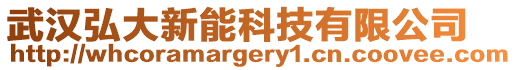 武漢弘大新能科技有限公司