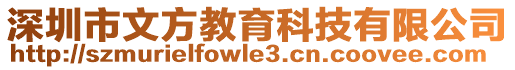 深圳市文方教育科技有限公司