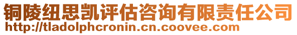銅陵紐思凱評估咨詢有限責任公司
