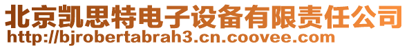北京凱思特電子設備有限責任公司
