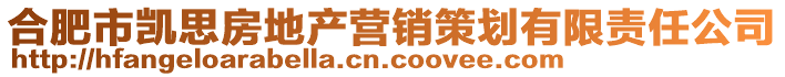 合肥市凱思房地產營銷策劃有限責任公司