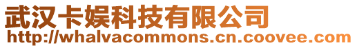 武漢卡娛科技有限公司