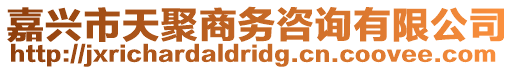 嘉興市天聚商務咨詢有限公司