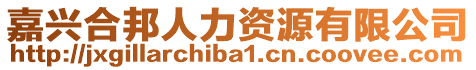 嘉興合邦人力資源有限公司