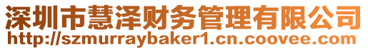 深圳市慧澤財務管理有限公司