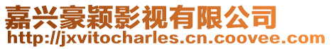 嘉興豪穎影視有限公司