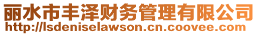 麗水市豐澤財務管理有限公司