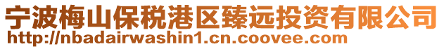 寧波梅山保稅港區(qū)臻遠投資有限公司