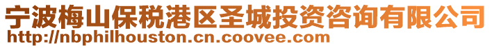 寧波梅山保稅港區(qū)圣城投資咨詢有限公司