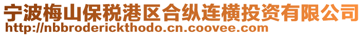 寧波梅山保稅港區(qū)合縱連橫投資有限公司