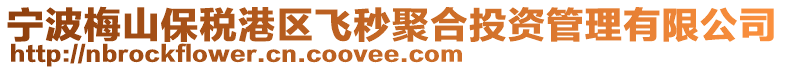 寧波梅山保稅港區飛秒聚合投資管理有限公司