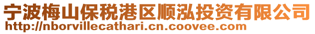 寧波梅山保稅港區順泓投資有限公司