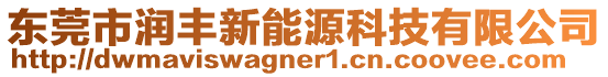 東莞市潤豐新能源科技有限公司