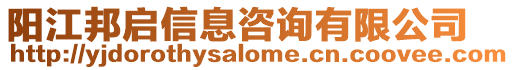 陽江邦啟信息咨詢有限公司