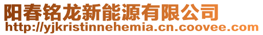 陽春銘龍新能源有限公司