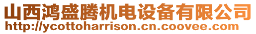 山西鴻盛騰機電設備有限公司