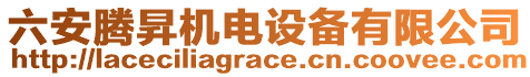 六安騰昇機(jī)電設(shè)備有限公司