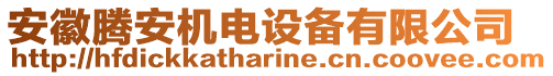 安徽騰安機電設(shè)備有限公司