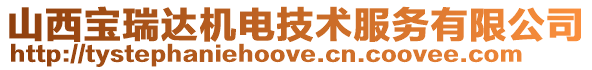 山西寶瑞達機電技術服務有限公司
