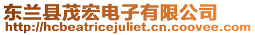 東蘭縣茂宏電子有限公司