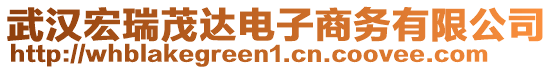 武漢宏瑞茂達電子商務(wù)有限公司