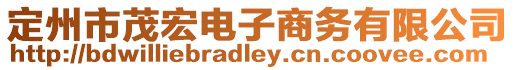 定州市茂宏電子商務(wù)有限公司