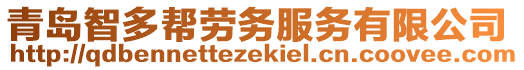 青島智多幫勞務(wù)服務(wù)有限公司