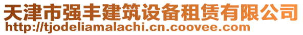天津市強(qiáng)豐建筑設(shè)備租賃有限公司