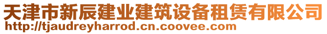 天津市新辰建業(yè)建筑設(shè)備租賃有限公司