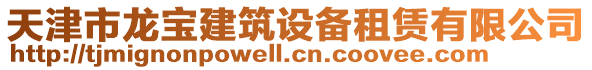 天津市龍寶建筑設備租賃有限公司