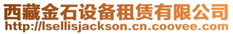 西藏金石設(shè)備租賃有限公司