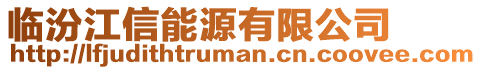臨汾江信能源有限公司