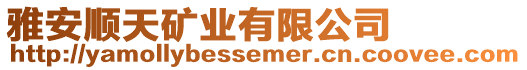 雅安順天礦業有限公司