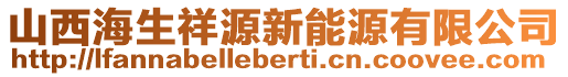 山西海生祥源新能源有限公司