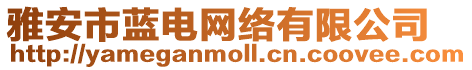雅安市藍電網絡有限公司
